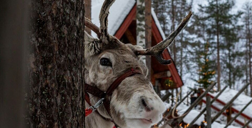 Rovaniemi, Lapponia