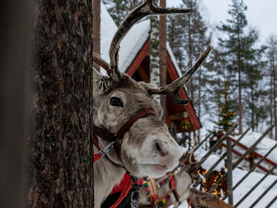 Rovaniemi, Lapponia